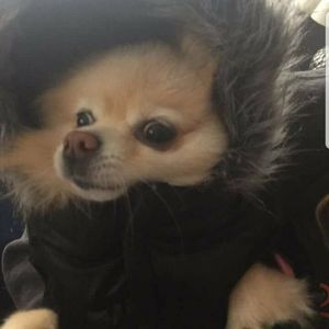 Meet your Posher, Deb